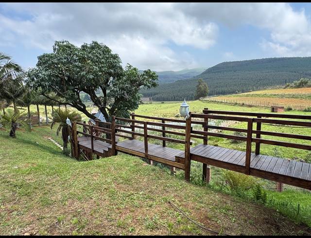 40HA FARM FOR SALE IN BYRNE